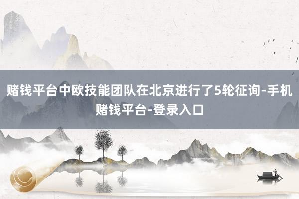 赌钱平台中欧技能团队在北京进行了5轮征询-手机赌钱平台-登录入口