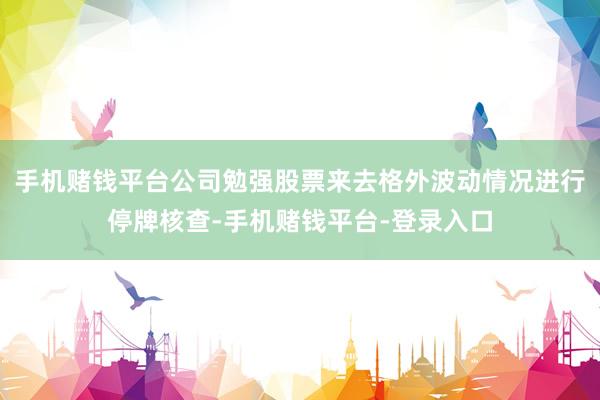 手机赌钱平台公司勉强股票来去格外波动情况进行停牌核查-手机赌钱平台-登录入口