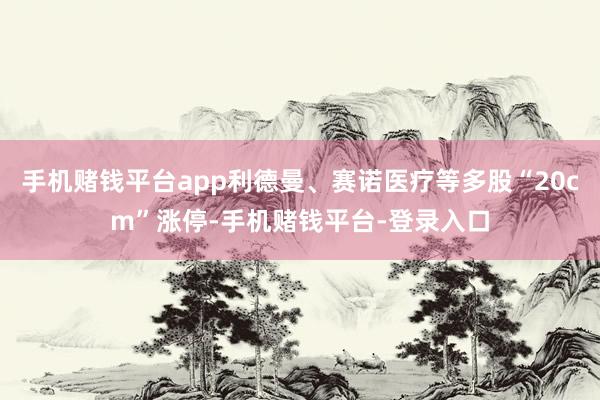 手机赌钱平台app利德曼、赛诺医疗等多股“20cm”涨停-手机赌钱平台-登录入口