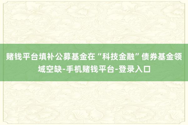赌钱平台填补公募基金在“科技金融”债券基金领域空缺-手机赌钱平台-登录入口